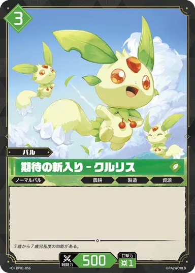 期待の新入り – クルリス C