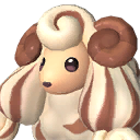 Woolipop Terra